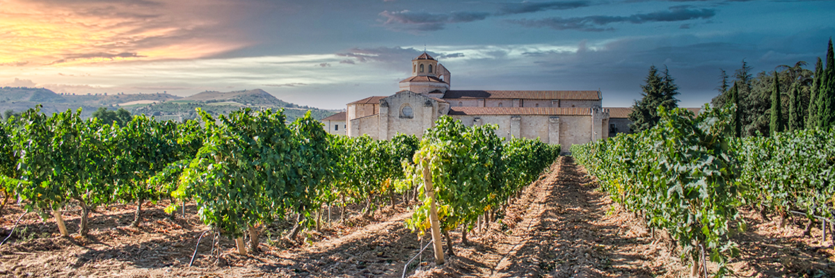 New Direct-Import Arrivals from Spain