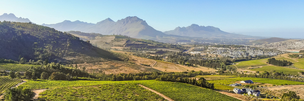 Remhoogte Estate Wine Tasting