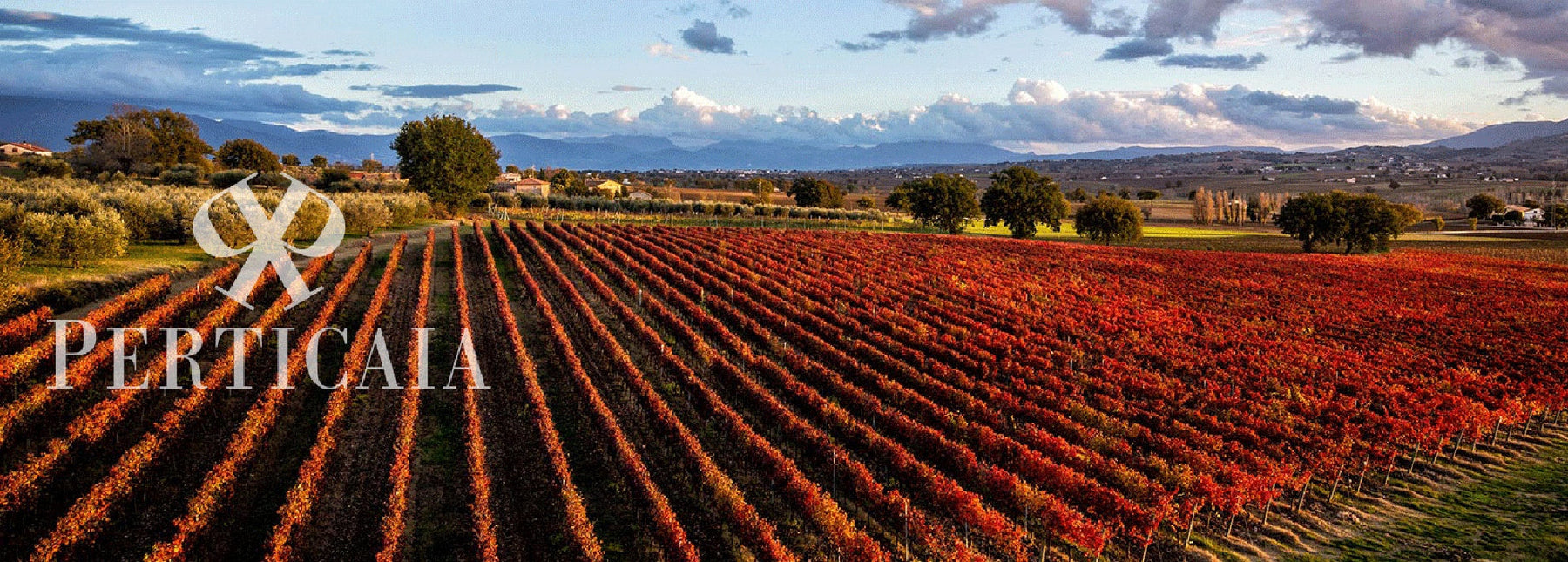 Wines of Umbria Italy