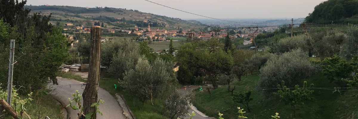 An Afternoon of Italian Wine