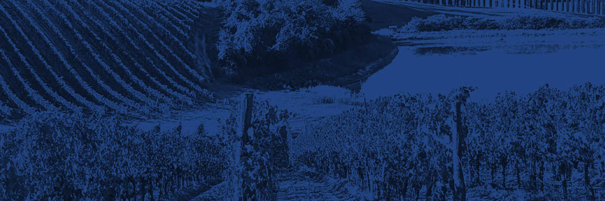High scoring QPR favorites from Winebow with Bill Hajjar