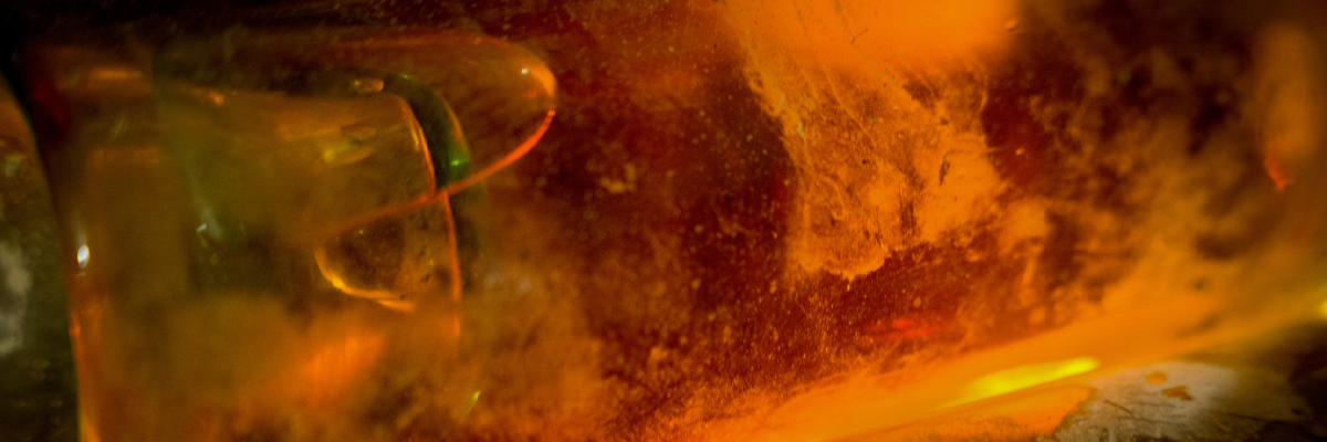 The 2023 d’Yquem... Destined to be one of the best ever!