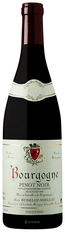 2020 Alain Hudelot-Noellat - Bourgogne Rouge