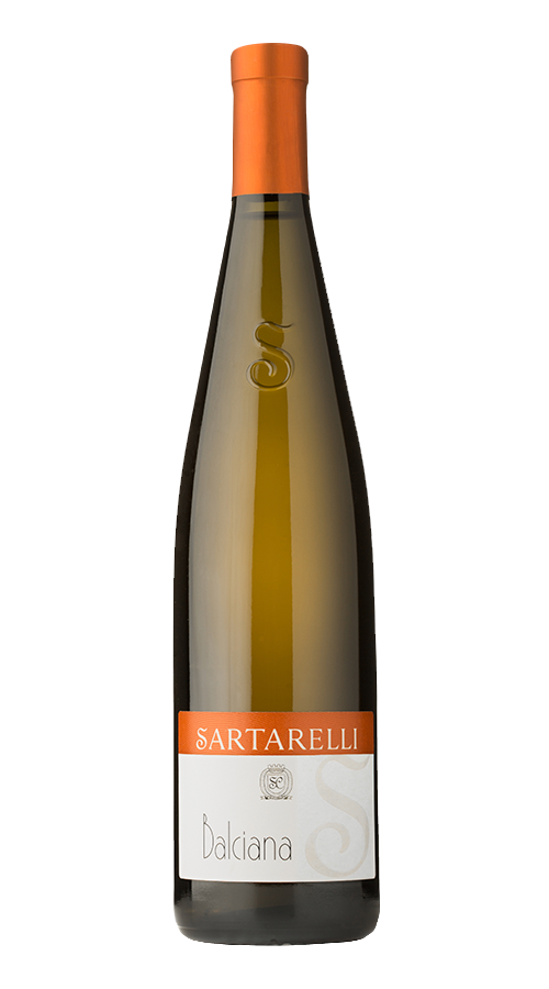 2019 Sartarelli - Verdicchio dei Castelli di Jesi DOC Classico Superiore Balciana