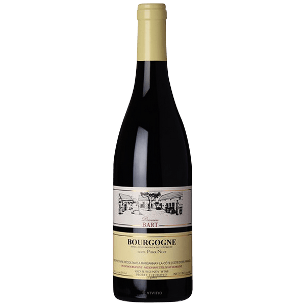 2020 Domaine Bart - Bourgogne Cote d'Or Rouge