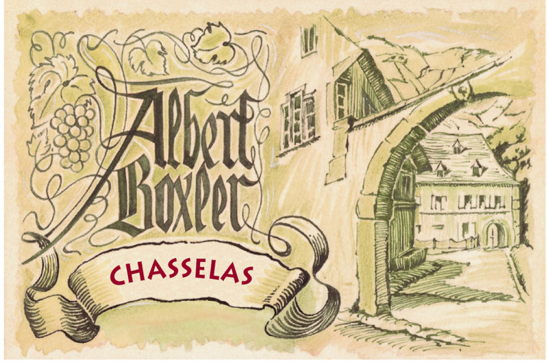 2019 Albert Boxler - Chasselas