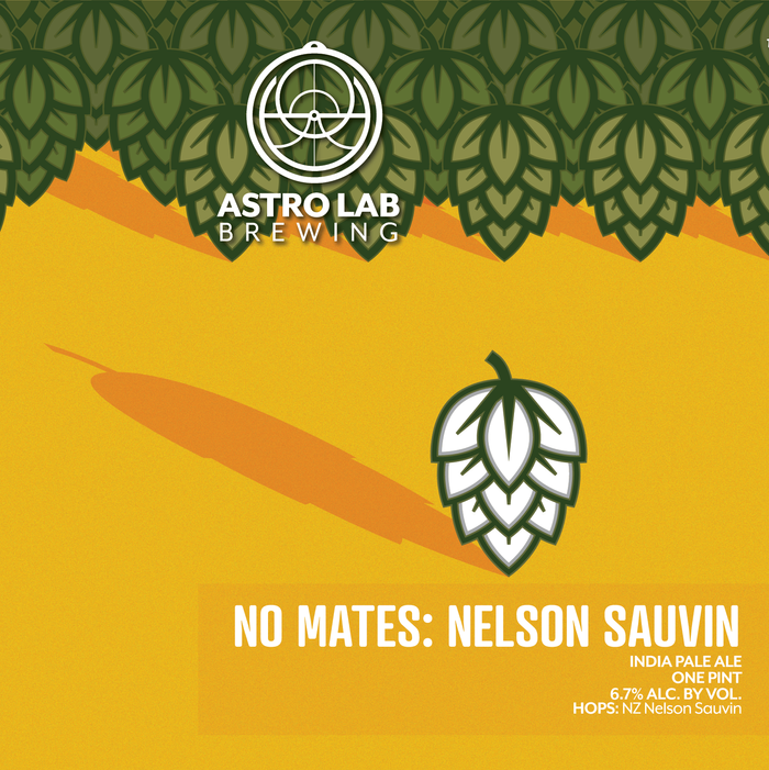 Astro Lab Brewing - No Mates NZ IPA 4pk