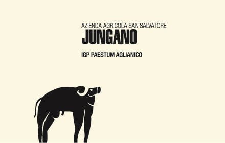 2017 San Salvatore - Aglianico IGP Paestum Jungano