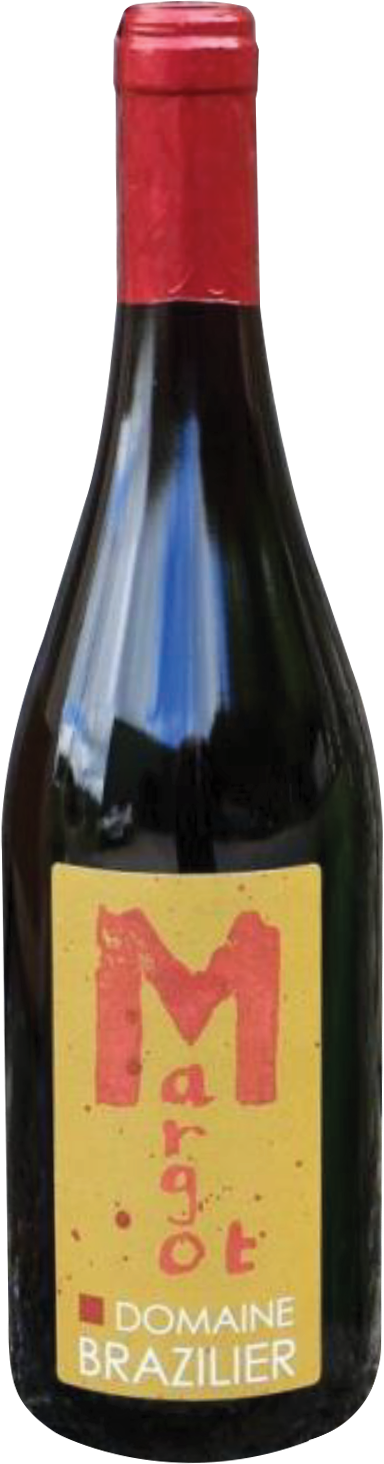 2020 Benoit Brazilier - Coteaux Vendomois Margot