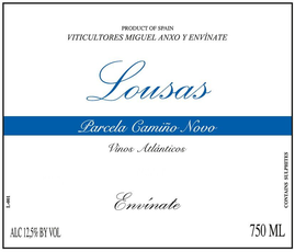 2021 Envinate - Mencia  Lousas Parcela Camino Novo