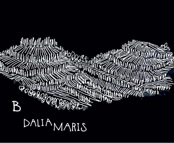 2020 Dalia Maris - Friuli Colli Orientali DOC Friulano B