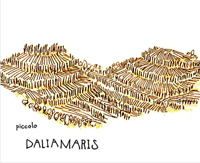 2021 Dalia Maris - Venezia Giulia Bianco IGT Friulano Piccolo