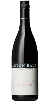 2019 Anton Bauer - Pinot Noir  Wagram