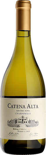 2020 Catena - Chardonnay Alta