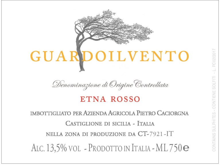 2020 Pietra Caciorgna - Etna Rosso Guardoilvento