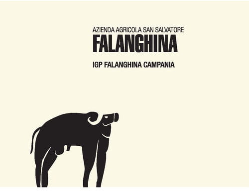 2022 San Salvatore - Campania IGT Falanghina
