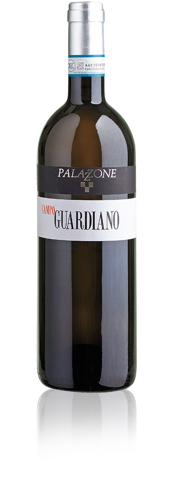 2020 Palazzone - Orvieto DOC Campo Guardiano