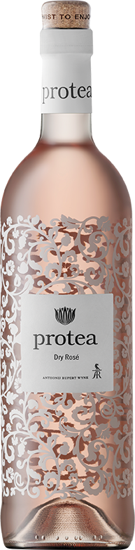 2024 Protea -   Rose