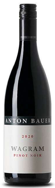 2020 Anton Bauer - Pinot Noir  Wagram