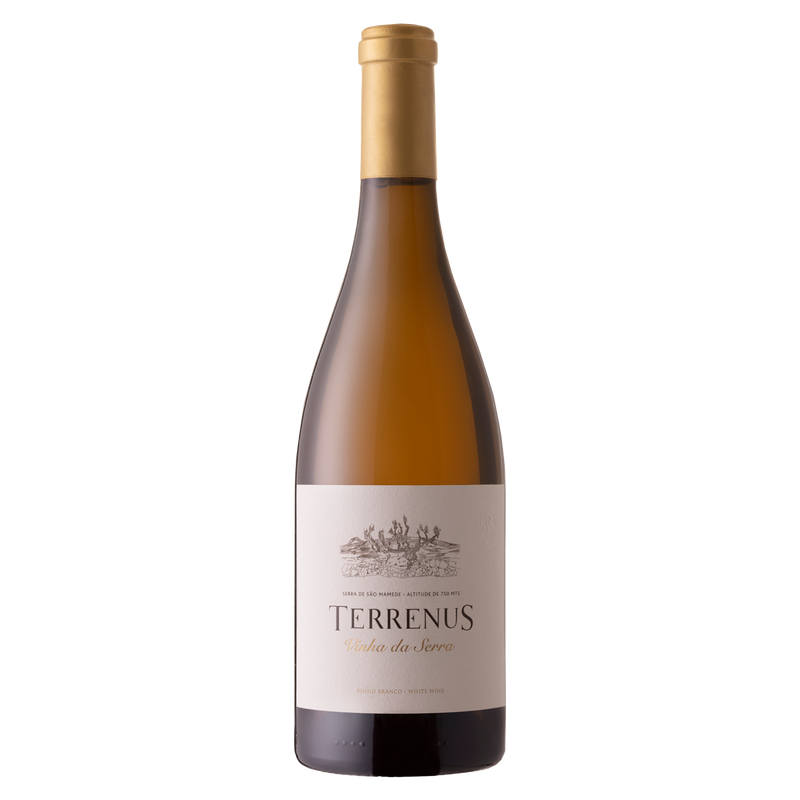 2021 Rui Reguinga -  Terrenus Branco Vinha da Serra
