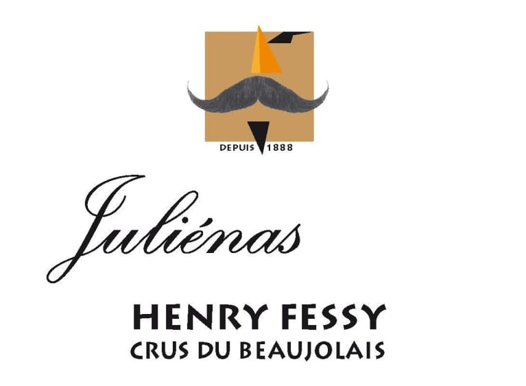 2019 Fessy - Julienas