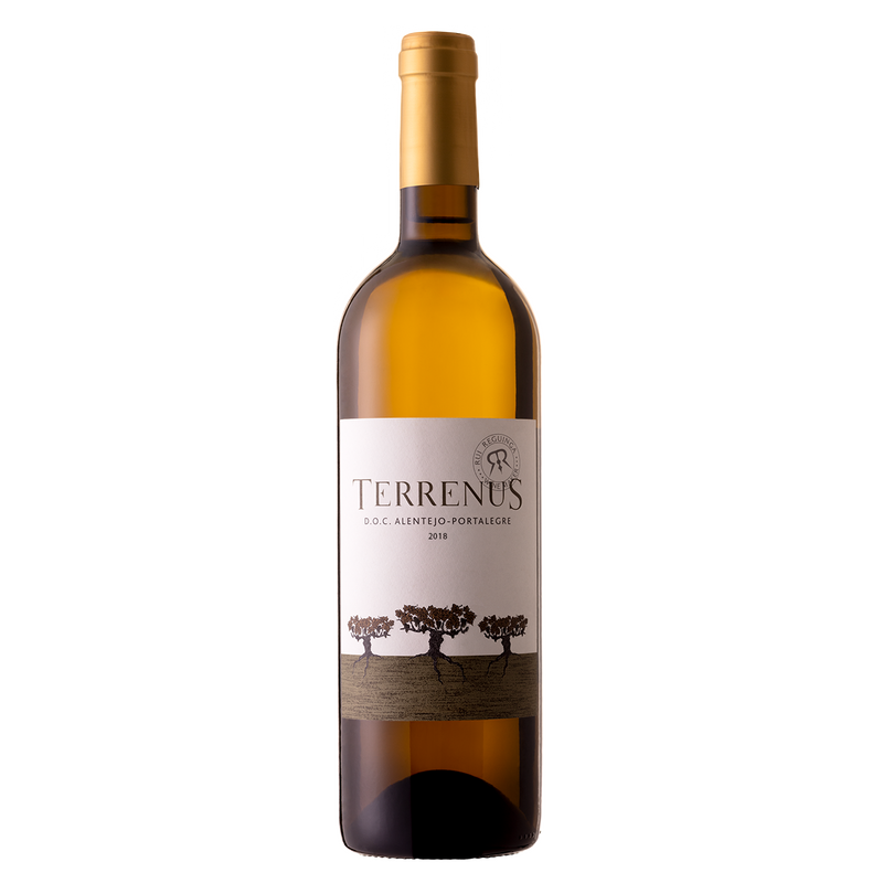 2021 Rui Reguinga -  Branco Terrenus
