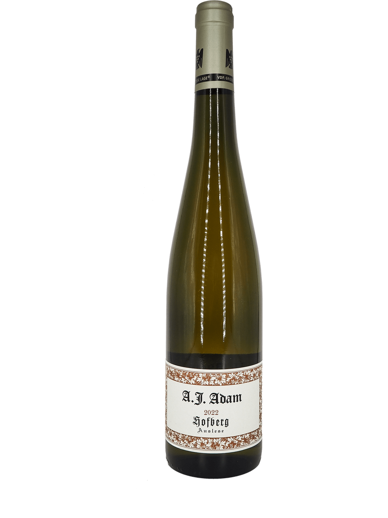2022 Adam, AJ - Dhron Hofberg Auslese
