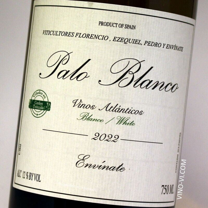 2022 Envinate - Listan Blanco Palo Blanco