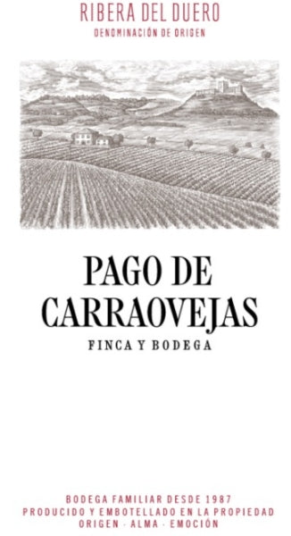 2020 Pago de Carraovejas - Tempranillo Ribera del Duero Tinto