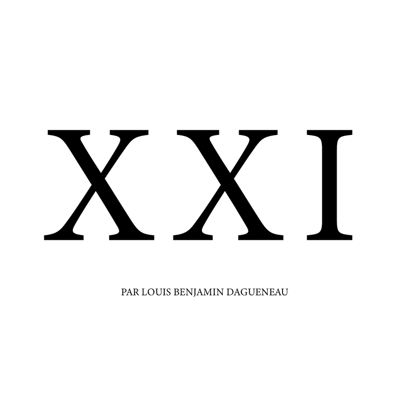 2021 Dagueneau, Didier (Louis Benjamin Dagueneau) - Vin de France Sauvignon Blanc XXI