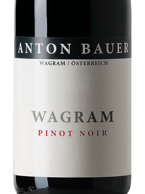 2021 Anton Bauer - Pinot Noir  Wagram