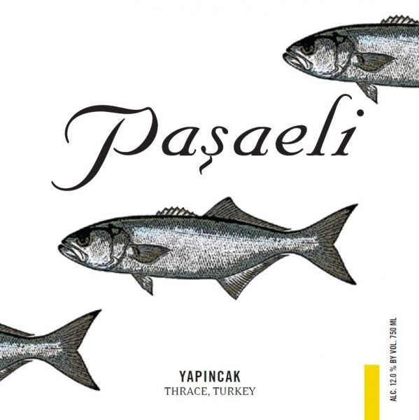 2023 Pasaeli Yapincak Aegean