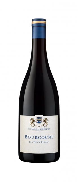 2022 Thibault Liger-Belair - Bourgogne Gamay Les Deux Terres (750ml)