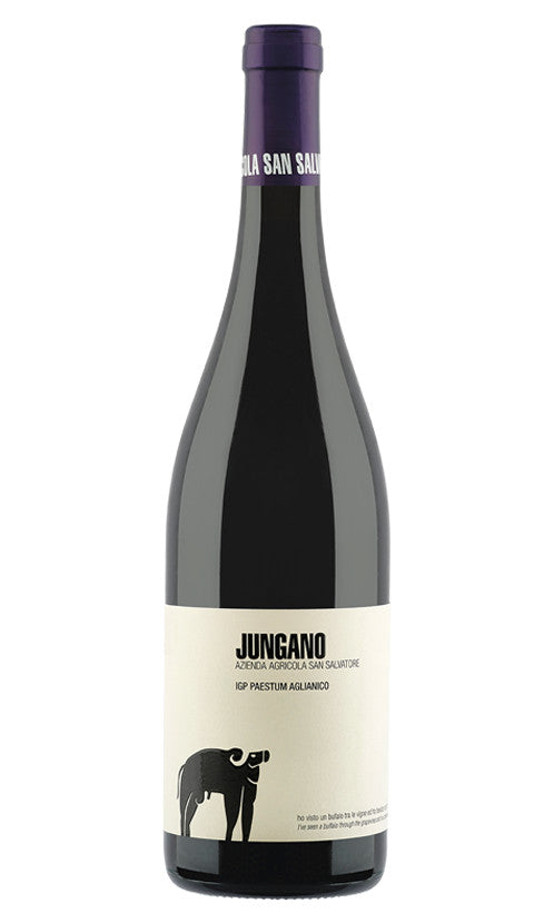2020 San Salvatore - Paestum Aglianico Jungano (750ml)