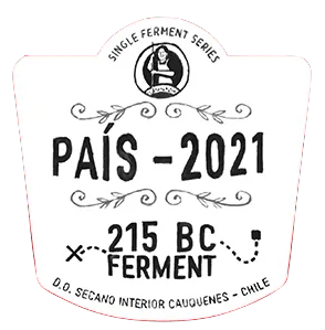 2021 Garage Wine Co. - Pais Secano Interior Cauquenes 215 BC Ferment (750ml)