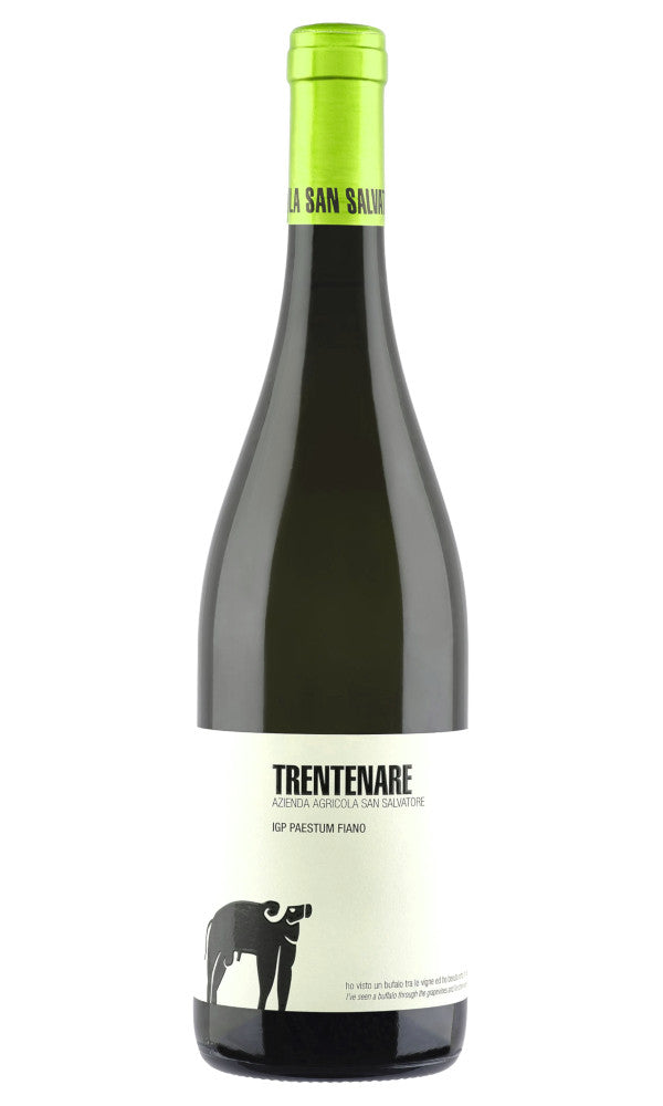2023 San Salvatore - Paestum IGT Fiano Trentenare (750ml)