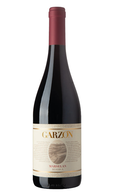 2023 Bodega Garzon Marselan Reserva (750ml)