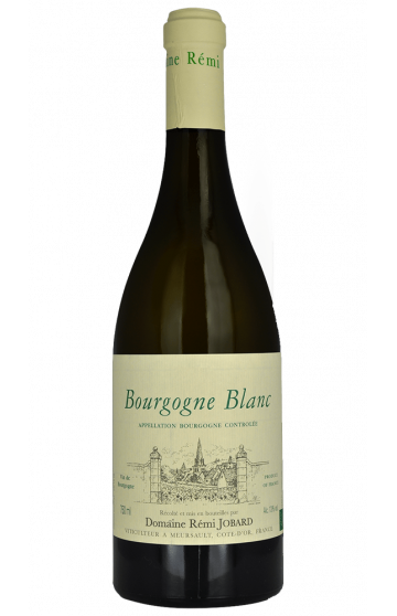 2023 Remi Jobard - Bourgogne Blanc