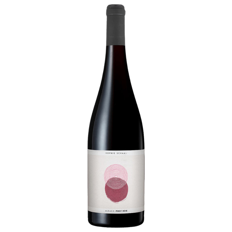 2023 Sophie Schaal - Pinot Noir (750ml)
