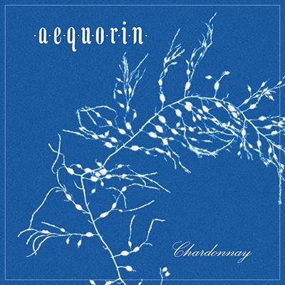 2022 Antica Terra Aequorin Chardonnay