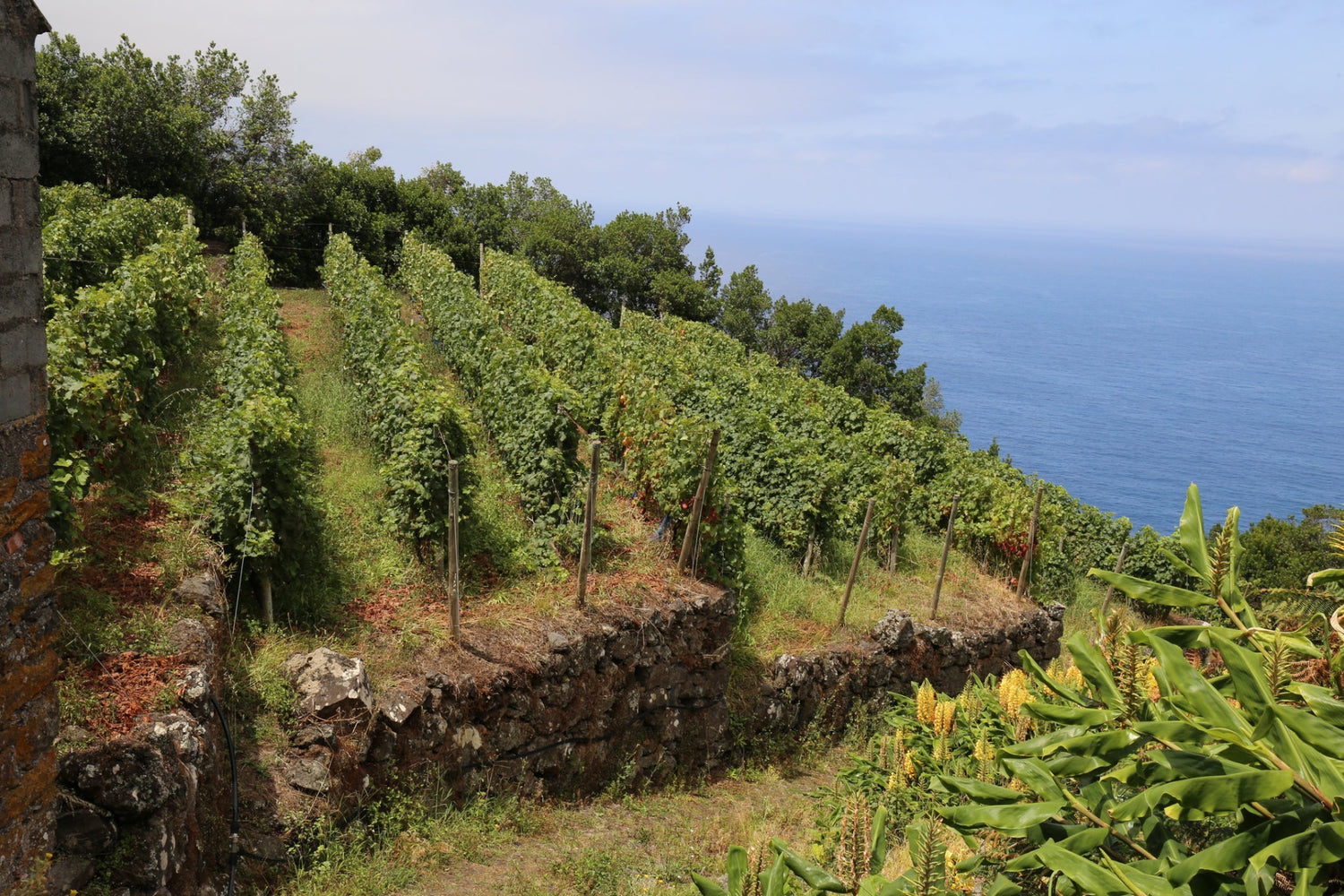 Madeira