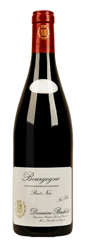 2022 Denis Bachelet - Bourgogne Rouge (750ml) [PRE ARRIVAL]