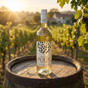 2023 Pouy - Cotes de Gascogne (750ml) | Create an ultra-photorealistic commercial photograph featuring the uploaded 2023 Pouy - Cotes de Gascogne (750ml) bottle from the provided image, showcased auth