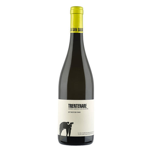 2025 San Salvatore - Paestum IGT Fiano Trentenare (750ml)