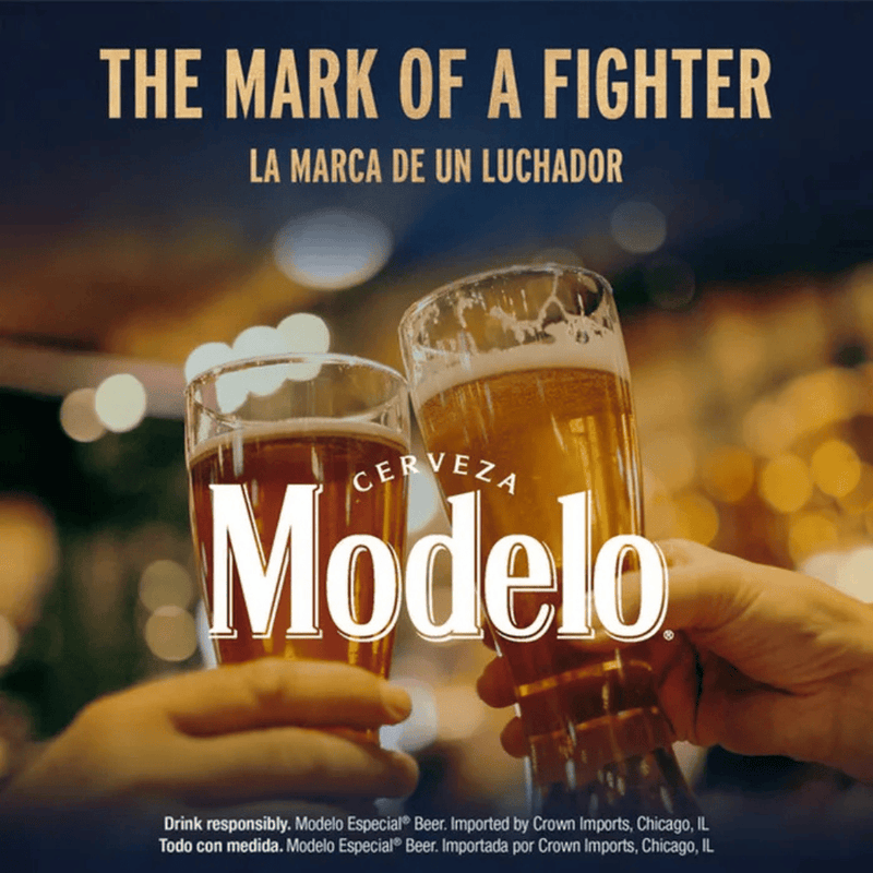 Modelo Especial 6pk Bottle