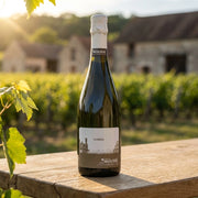 NV Mousse  - Champagne Extra-Brut Blanc de Noirs Eugene | Produce an ultra-photorealistic commercial image featuring the uploaded NV Mousse - Champagne Extra-Brut Blanc de Noirs Eugene bottle as the sole subject, using