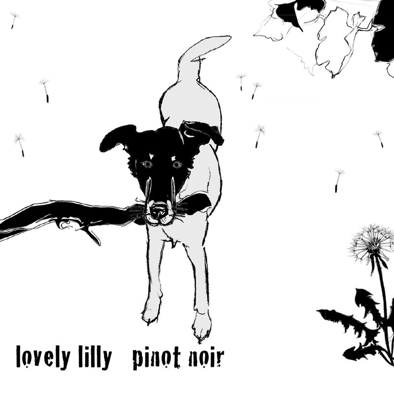 2024 Shelter Winery - Spatburgunder Lovely Lilly (Pinot Noir) (750ml)