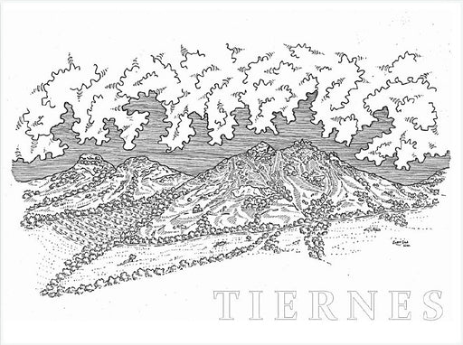Swerwer Tiernes Chenin Blanc label