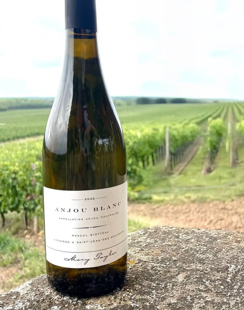 2023 Mary Taylor (Pascal Biotteau) - Anjou Blanc
