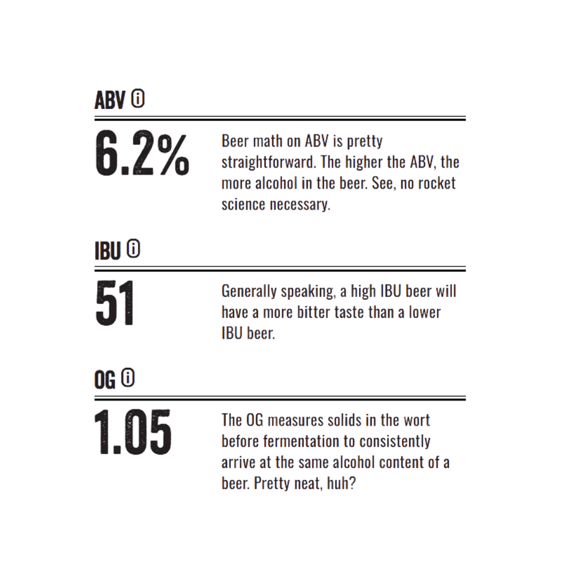 Lagunitas Brewing IPA 6pk bottles